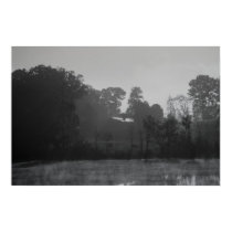 Foggy Pasture posters by schneiter Foggy Pasture posters