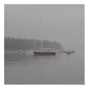 Foggy Reflections posters