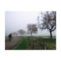 Foggy Rider Postcards