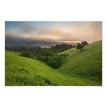 Foggy Spring Sunset Photo Print