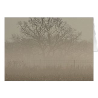 Foggy Tree card