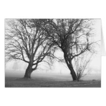 Foggy Trees Black & White cards