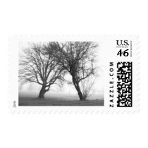 Foggy Trees Black & White Postage Stamps