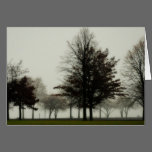 Foggy Trees Greeting Card cards