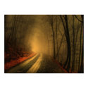 foggy wood posters