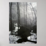 Foggy Woods Print