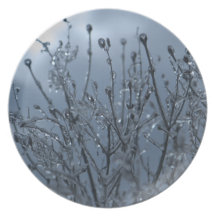 Fogy Ice Plants Party Plates