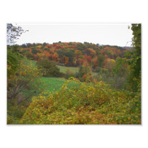 Foilage in Pennsylvania Photograph