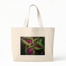 Foilage Plant#2 bags