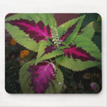 Foilage Plant#2 Mouse Mat