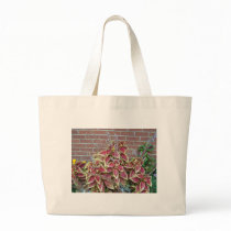 Foilage Plant bags