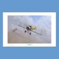 Fokker D.III posters