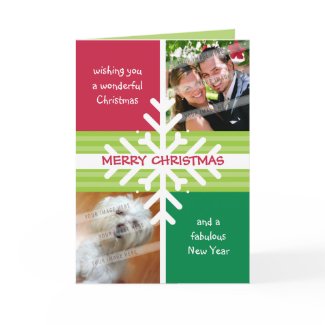 FOLDED GREETING CARD :: snowflake dissection 1 card