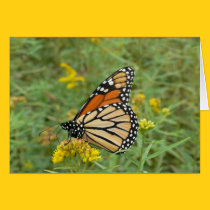 Folded wing Monarch cards