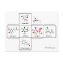 Folding cookie box postcards by Nushka Folding cookie box postcards