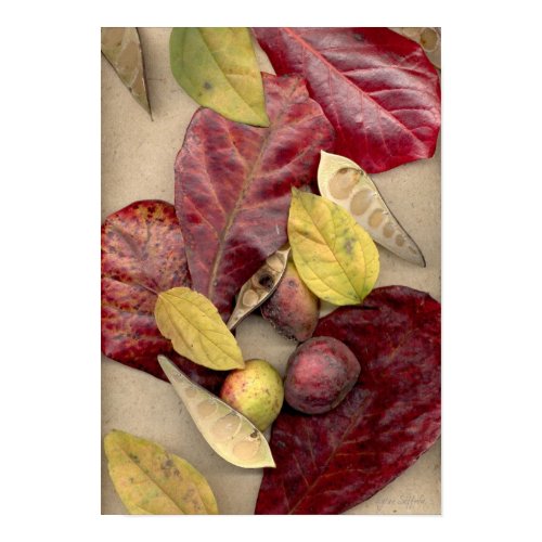 Folhas-017 print