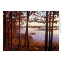 Foliage above the Fog, Quabbin Reservoir Greeting Card