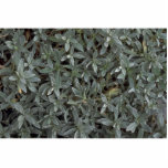 Foliage texture photo sculpture