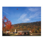 Follaje del globo de la granja del Monte Holyoke Postal
