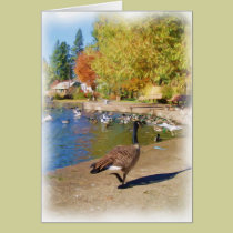 Follow me cards