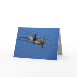 Follow me Duck Card