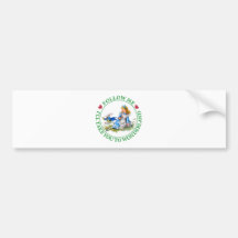 FOLLOW ME, I'LL TAKE YOU TO WONDERLAND BUMPER STICKERS