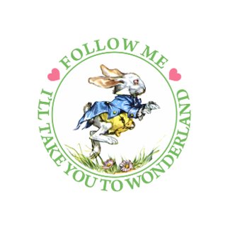 FOLLOW ME - I'LL TAKE YOU TO WONDERLAND postcard