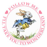 FOLLOW ME - I'LL TAKE YOU TO WONDERLAND! STICKERS