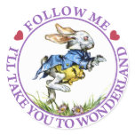 Follow me - I'll take you to Wonderland! Stickers