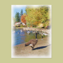 Follow me postcards