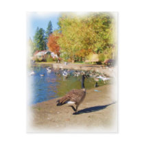 Follow me postcards