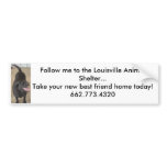 Follow Me to the Louisville Animal Shelter Bumper Stickers