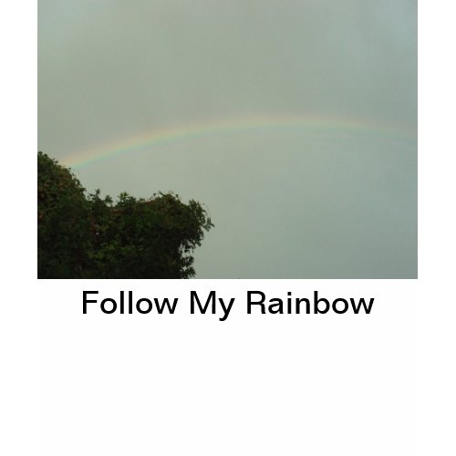 Follow My Rainbow Shirt shirt