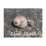 Follow That Snail Post Cards