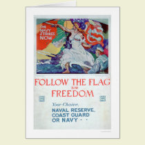 Follow the Flag of Freedom (US02179) cards