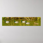 Follow The Leader Poster