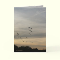 Follow the Light cards by MoiraAshleigh Follow the Light cards