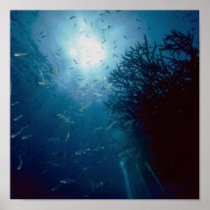 Follow The Light posters