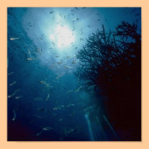 Follow The Light posters