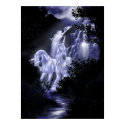 Follow the Moonlight posters