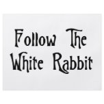 Follow The White Rabbit flyers
