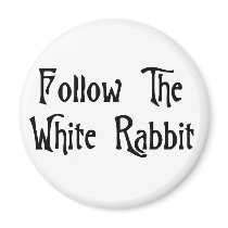 Follow The White Rabbit Magnets