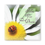 Follow Your Dreams Ladybug Magnet