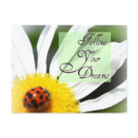 Follow Your Dreams Ladybug Post Card