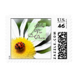 Follow Your Dreams Ladybug Postage