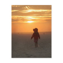 follow your heart postcards
