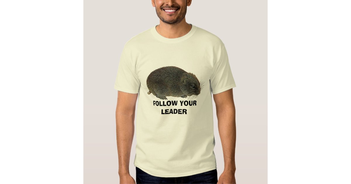 follow your leader shirt