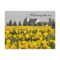 Following the sun! postcards