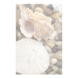 Fondo de Shell del mar Papeleria De Diseño