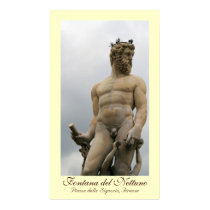 Fontana del Nettuno Poster posters